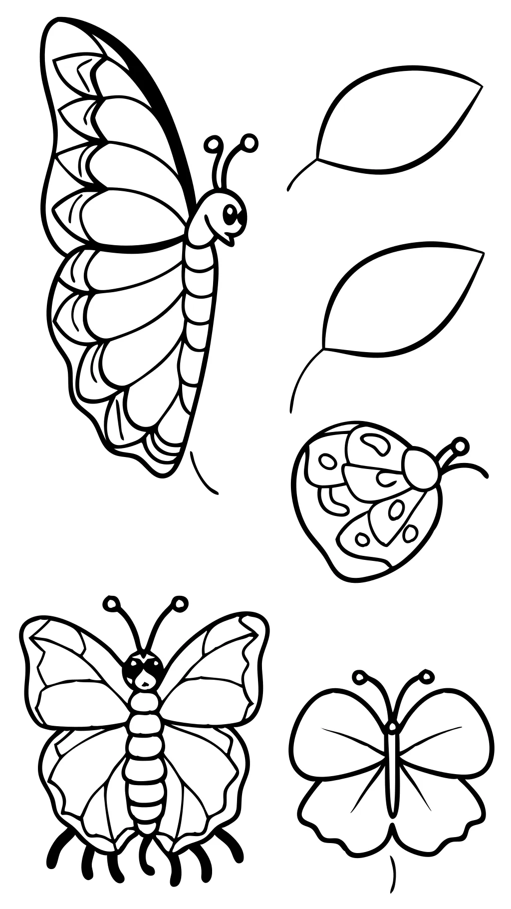 páginas para colorear del ciclo de vida de mariposa